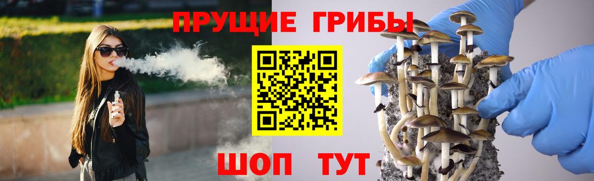 Сочи  где купить наркоту  Псилоцибиновые грибы Psilocybe  Вход с VPN  Псилоцибиновые грибы GOLDEN TEACHER 